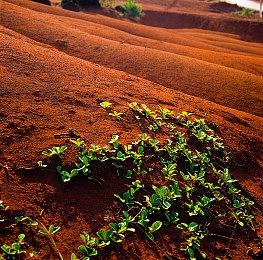 Epic喜加一：《金色的光芒》免费领