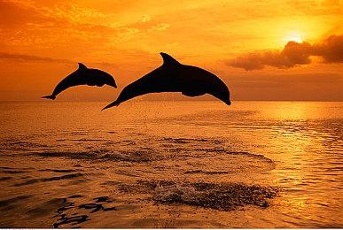 VR魔法ARPG《废墟术士》新预告片分享